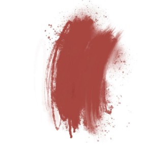 COCOA BEANS Brovi - Pigmento PMU per Pelle Sintetica - 5ml brovi