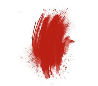 RED STRAWBERRY Brovi - Pigmento PMU per Pelle Sintetica - 5ml brovi