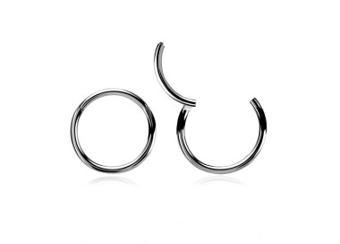 SS 316 CLICK SEGMENT RING