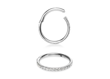 SS 316 JEWELLED CLICK SEGMENT RING