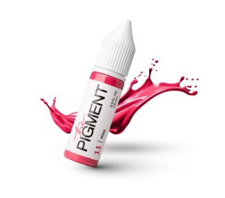 11 KISS - The Pigment - 15ml - Pigmento PMU REACH the pigment