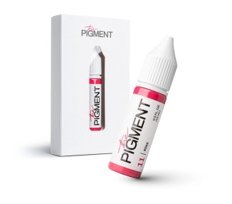 11 KISS - The Pigment - 15ml - Pigmento PMU REACH the pigment