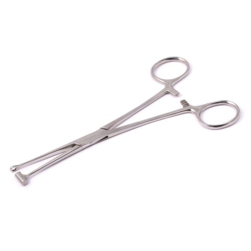 Tragus Forceps in Acciaio Inox