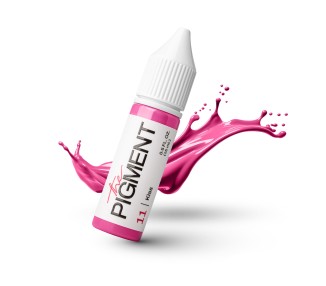 11 KISS - The Pigment - 15ml - Pigmento PMU REACH the pigment