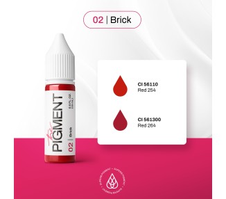 02 BRICK - The Pigment - 15ml - Pigmento PMU REACH the pigment