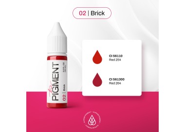 02 BRICK - The Pigment - 15ml - Pigmento PMU REACH the pigment
