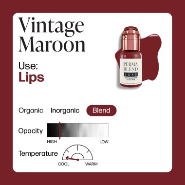 VINTAGE MAROON - Perma Blend Luxe - 15ml - Pigmento PMU REACH 2
