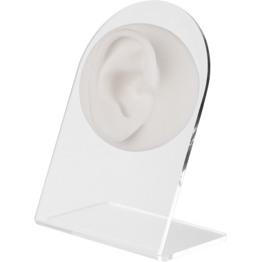 Espositore Anatomico Bianco per Piercing - Orecchio Destro