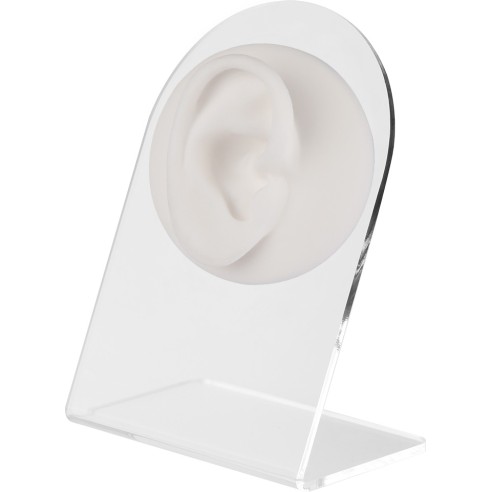 Espositore Anatomico Bianco per Piercing - Orecchio Destro