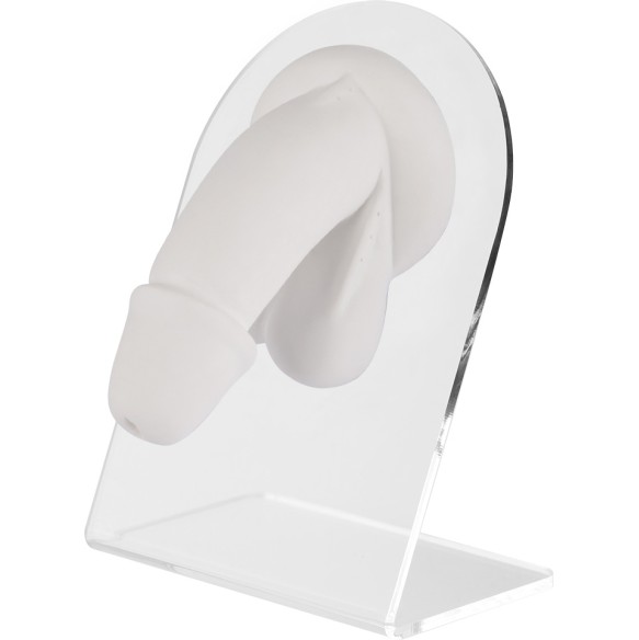Espositore Anatomico Bianco per Piercing - Genitali Maschili