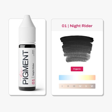 01 NIGHT RIDER - The Pigment - 15ml - Pigmento PMU REACH 2
