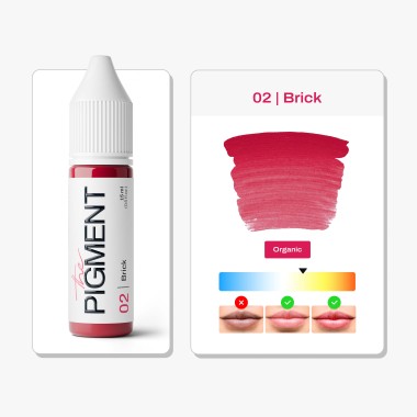 02 BRICK - The Pigment - 15ml - Pigmento PMU REACH 2