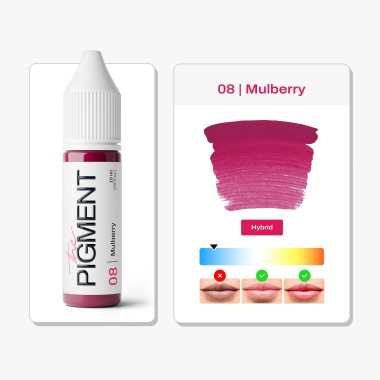 08 MULBERRY - The Pigment - 15ml - Pigmento PMU REACH 2