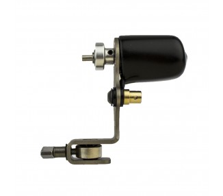 Dormouse Sole - Macchinetta Tattoo dormouse